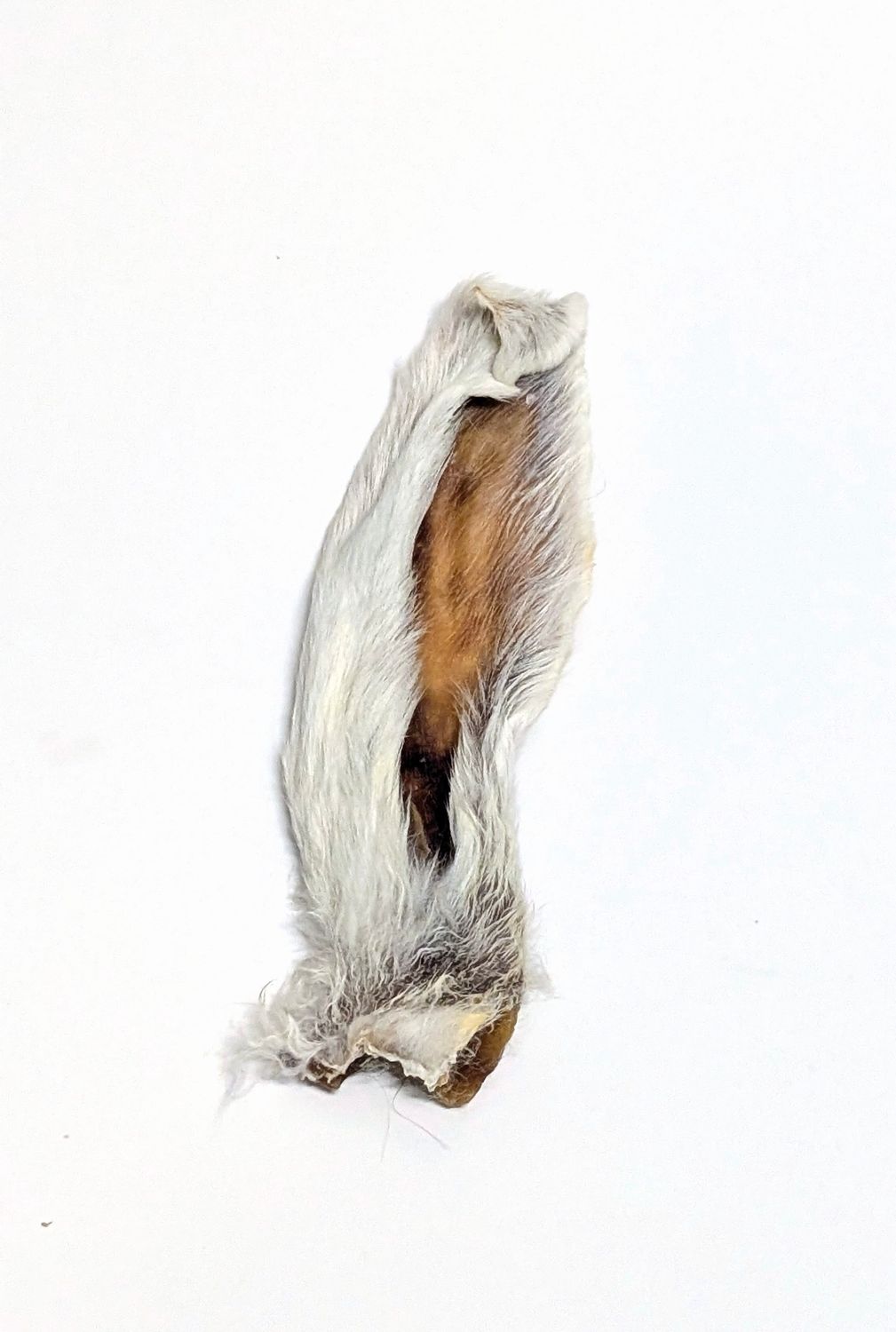 Hare-y Rabbit Ears Chew Treat for Dogs &amp; Cats, Quantity: Small Each (1)