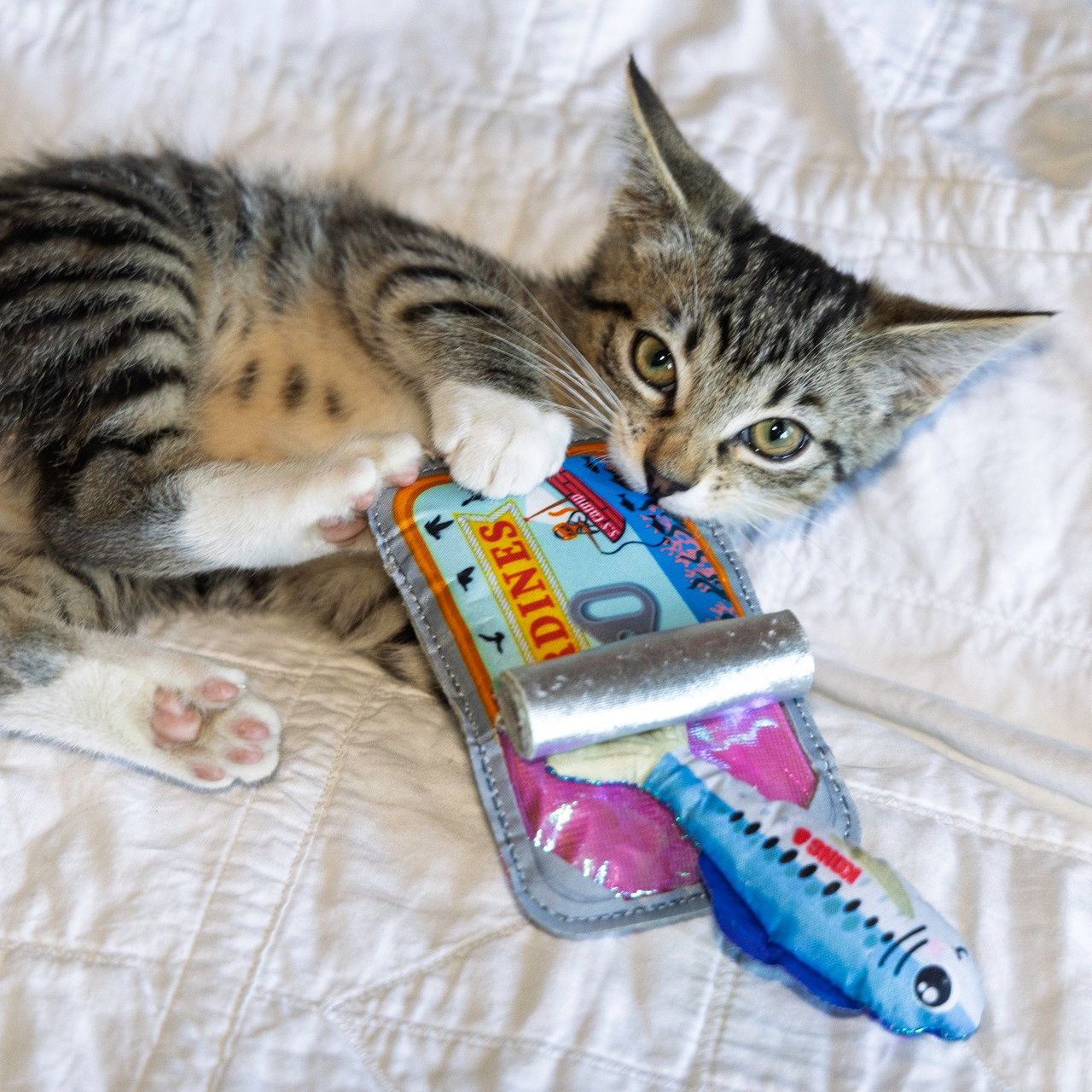 KONG Crackles Sardine Cat Toy with Catnip Inside 4.25in