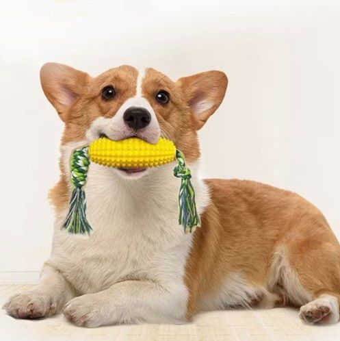 Pup-Corn on the Cob  Double Rope Chew Toy, Yellow