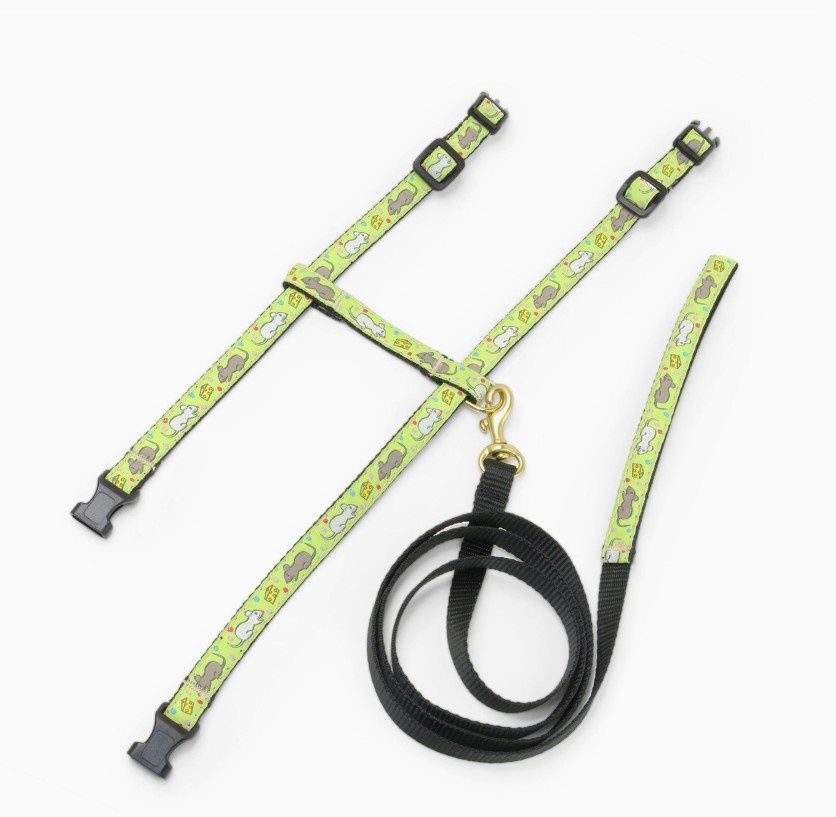 Up Country SAY CHEESE Cat Harness Set
