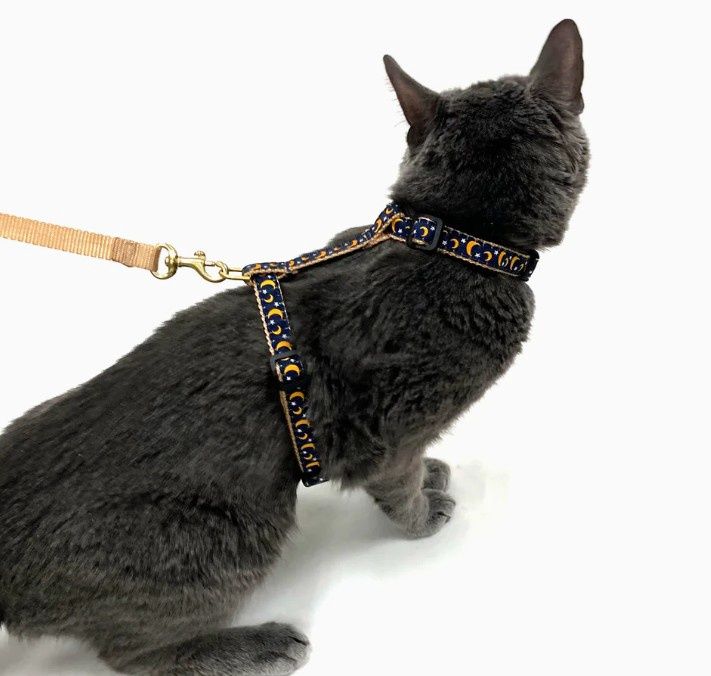 Up Country STELLA &amp; LUNA Cat Harness Set