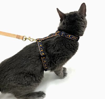 Up Country STELLA &amp; LUNA Cat Harness Set