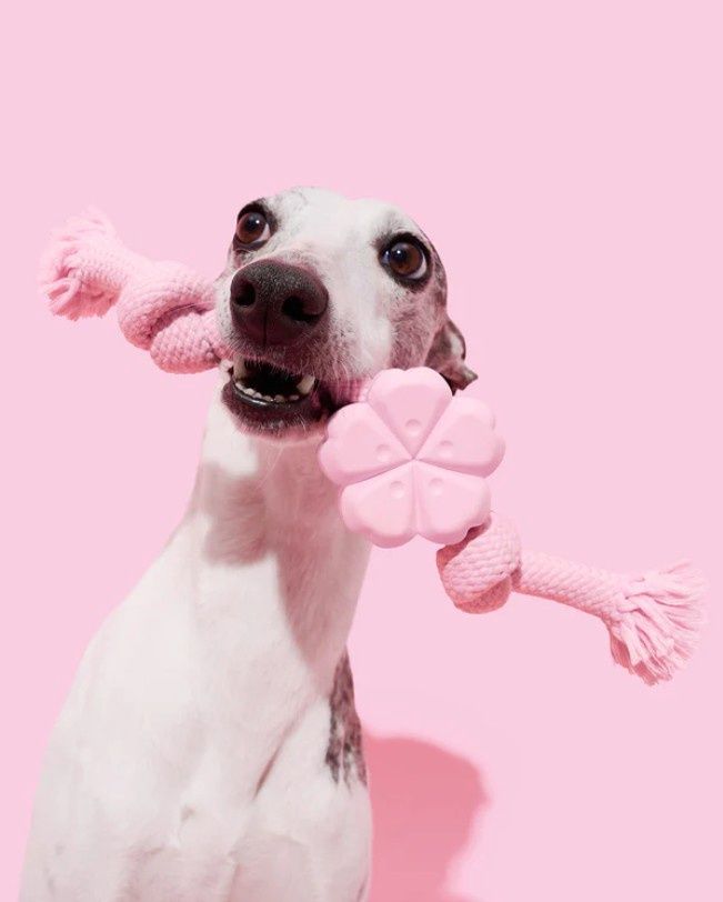 Vatreska Playful Charm Cherry Blossom Knot Rope Dog Toy