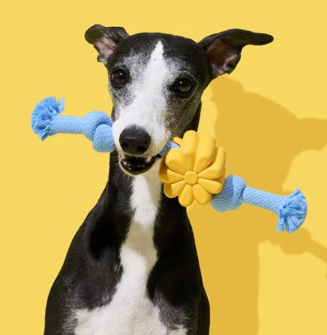 Vatreska Playful Charm Daisy Knot Rope Dog Toy