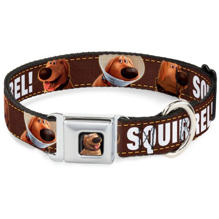 Buckle Down SQUIRREL Dug Seatbelt Dog Collar