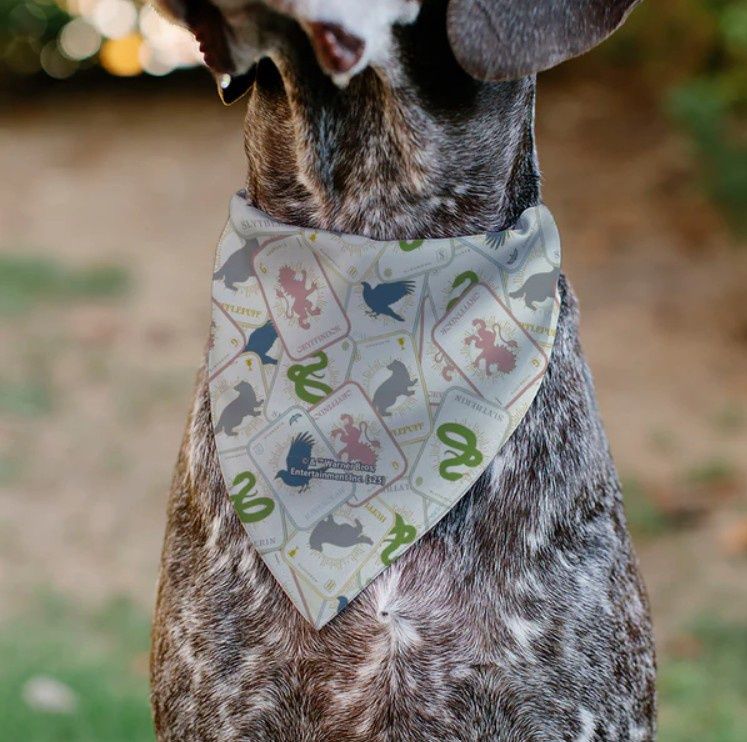 Pet Bandana Harry Potter SCHOOL TAROT CARDS Fits Over the Collar