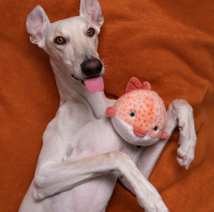 Fluff &amp; Tuff Dottie Puffer Fish Plush Dog Toy, 8in