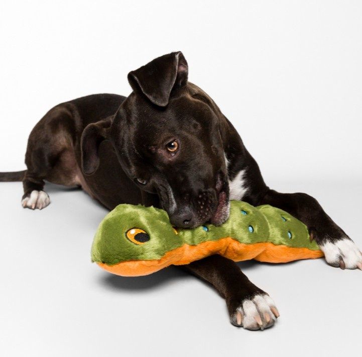 Fluff &amp; Tuff Katie Caterpillar Plush Dog Toy, 18in