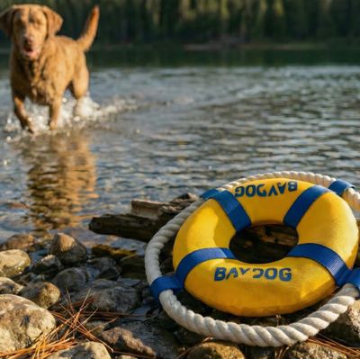 Baydog Fetch Ring Tug &amp; Retrieve Toy