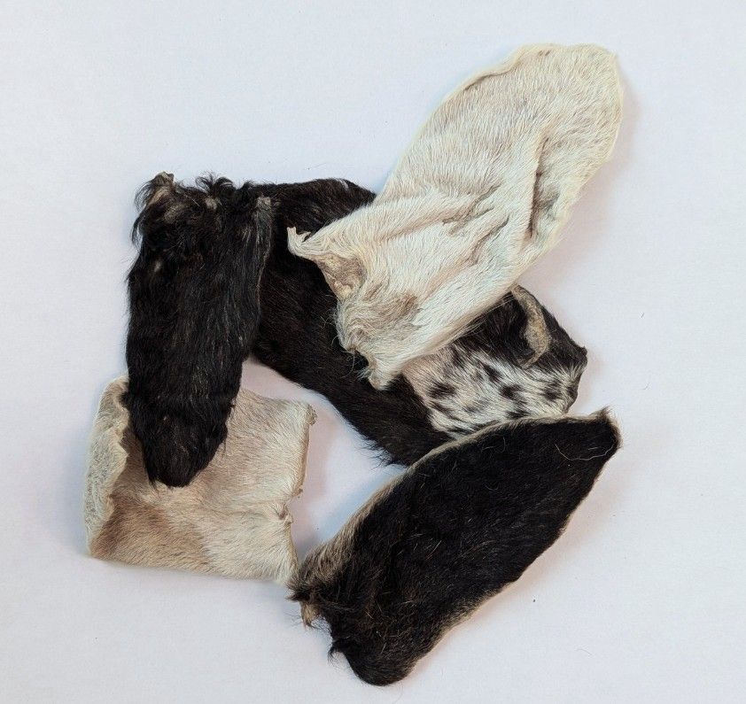 Hairy Goat Ears Dog Chew Treat