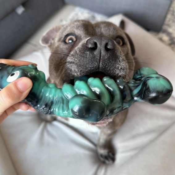 Happy Staffy Chewzilla Sea Chomper Dog Chew Toy