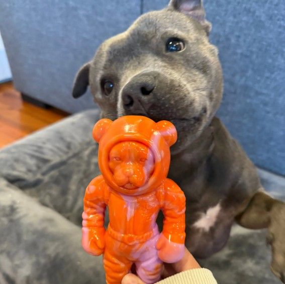 Happy Staffy Astro Pup Dog Chew Toy
