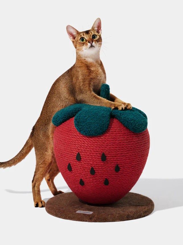 Vatreska Strawberry Cat Scratching Ball
