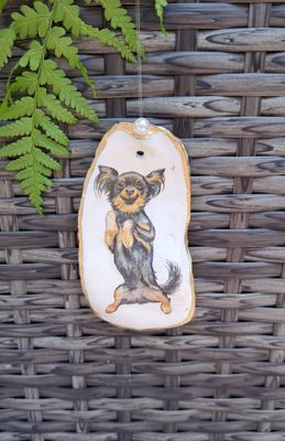 Anhänger Langhaar Chihuahua