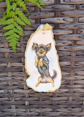 Anhänger Langhaar Chihuahua