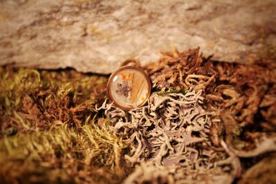 Ring „Tassilo“  12mm