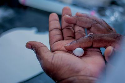 SPECIAL ORDERS AND EXTRAS ( OTHER OPTIONS)