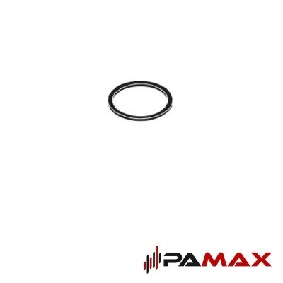 Hansgrohe tesnilo 50 x 54 53982000