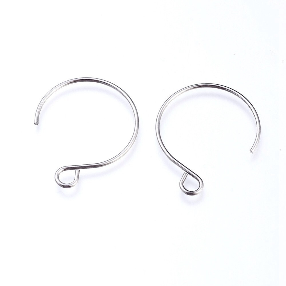 Stainless Steel Round Earring Hooks - Pair