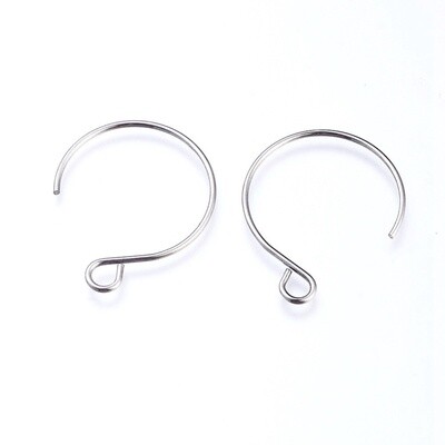 Stainless Steel Round Earring Hooks - Pair