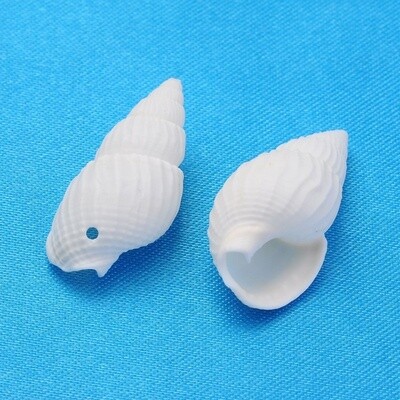 Trumpet Shell - White 19-25mm