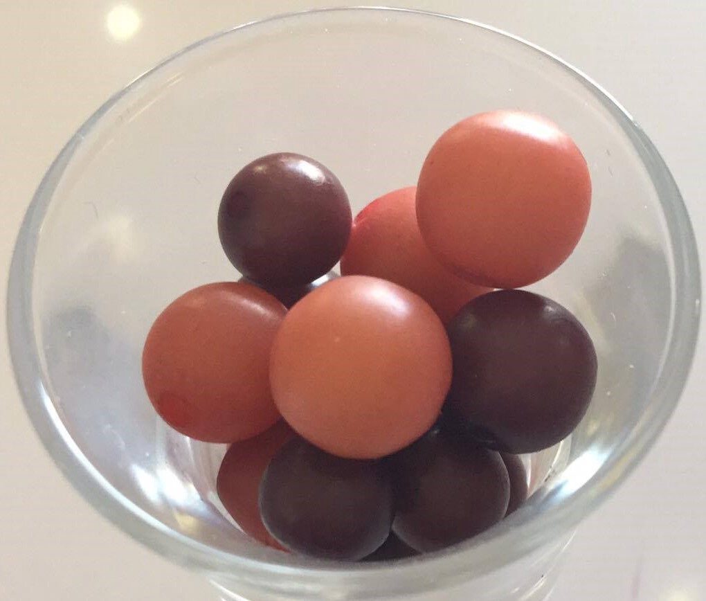 Palm Seed - Red / Orange