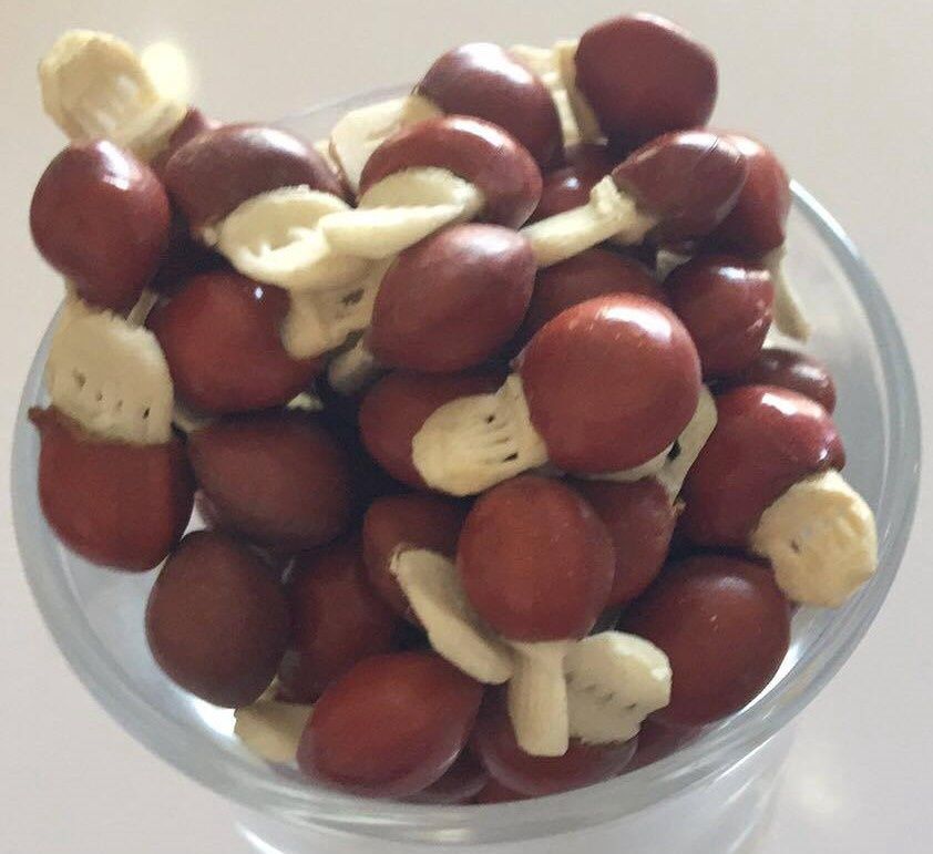 Elephant Seed - Brown &amp; White
