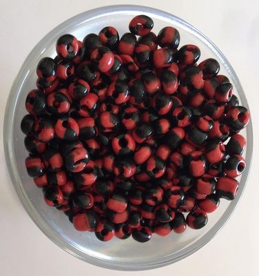 Seed Bead - Black &amp; Red Stripe 6/0