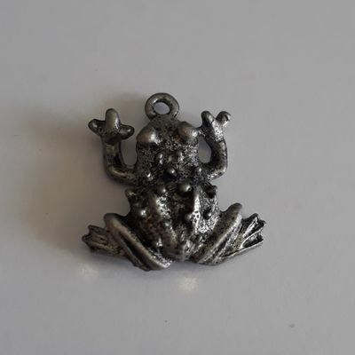 Frog Charm - Antique Silver 18mm