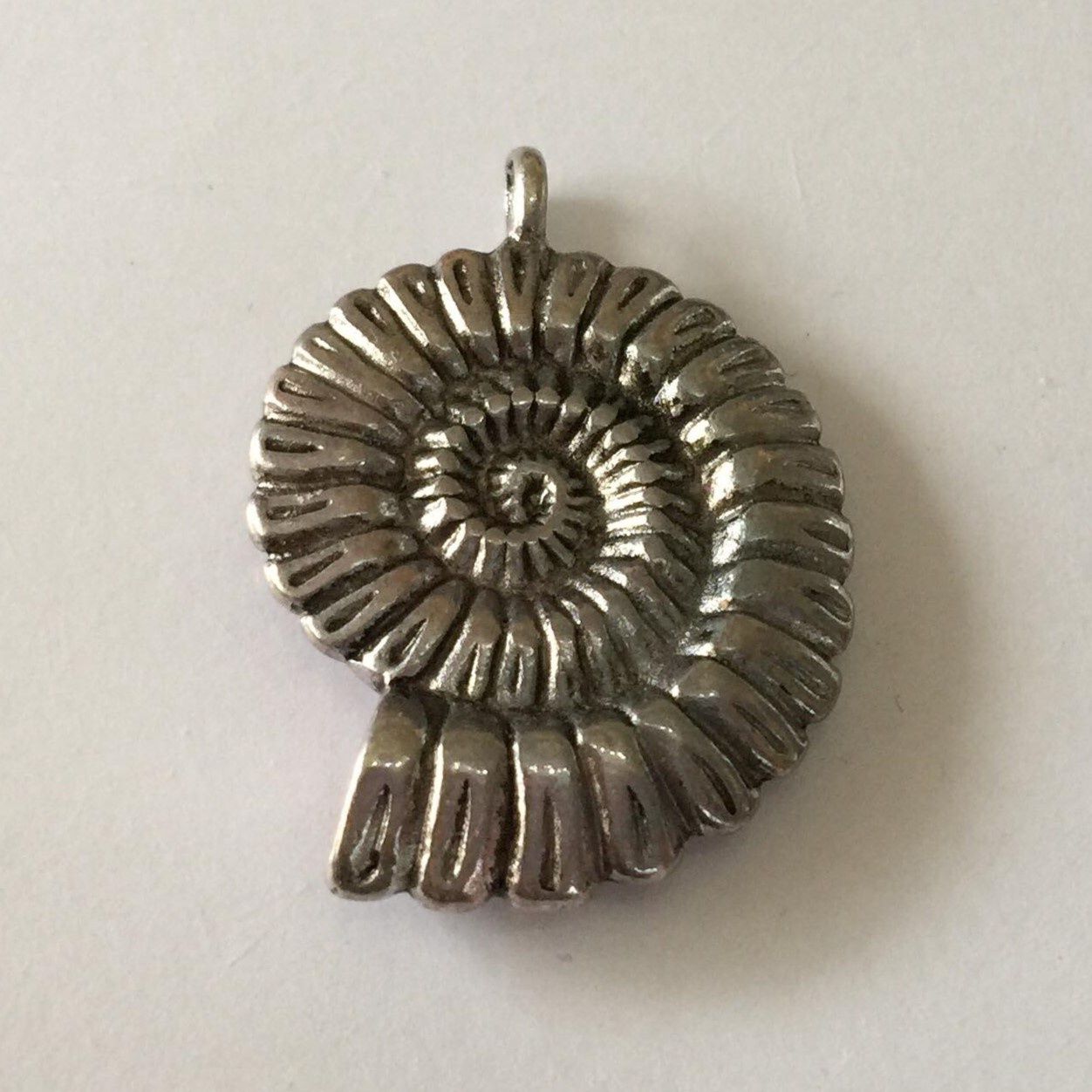 Ammonite - Silver 25x30mm