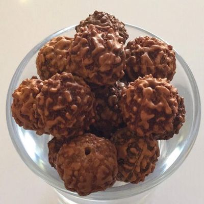 Rudrasksha Bead - Brown 10mm