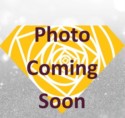 Seed Bead - Amber AB 11/0