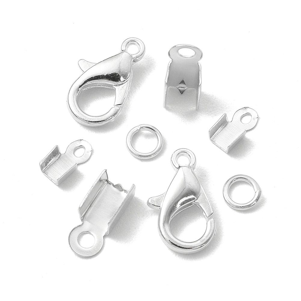 Finding Inspiration Kit - 450 Piece Silver Lobsters &amp; Leather Ends Kit