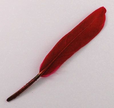 Feather - Red 70-140mm