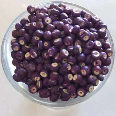 Coconut Disc - Purple 3mm
