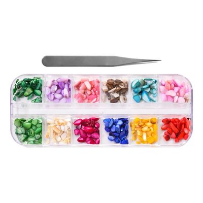 Shell Chips - Multi (No Hole)