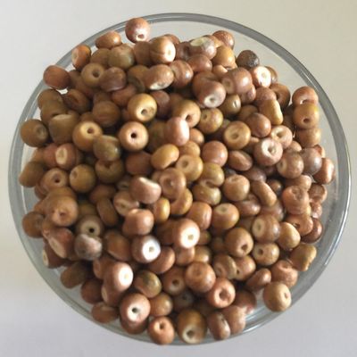 Coconut Disc - Natural 3mm