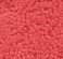 Seed Bead Czech Glass - Salmon Opal 11/0 (Per 5gm)