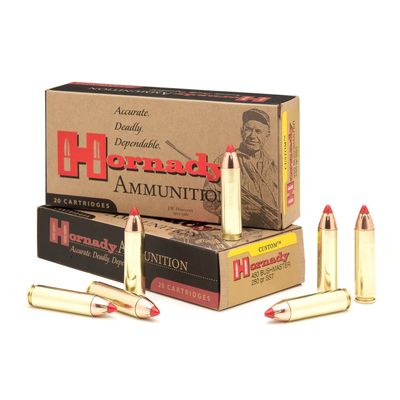 HORNADY .450BM Custom, 250GR FTX, 20RD/BX, AHDY82244