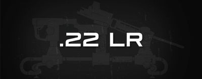 .22 LR