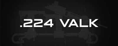 .224 Valk