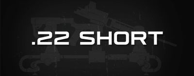 .22 Short