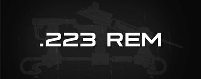.223 REM