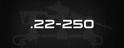 .22-250