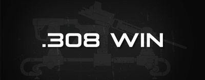 .308 WIN