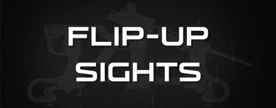 Flip-Up Sights
