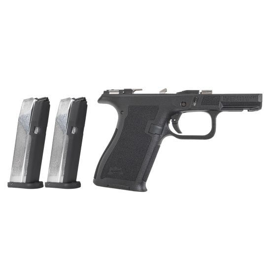 PSA Dagger Micro Complete Frame, Black With 2-15rd Micro Slick Mags, DM01-51655153651