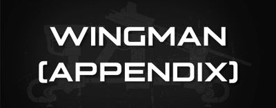 Wingman (Appendix Rig)