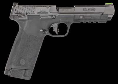 SMITH &amp; WESSON M&amp;P 22 MAG OR 22 MAG 4.3" 30+1 THUMB SAFETY