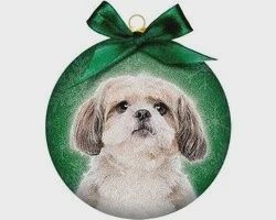 Plenty gifts ornament frosted shih tzu 10,5x4,2x11,5 cm